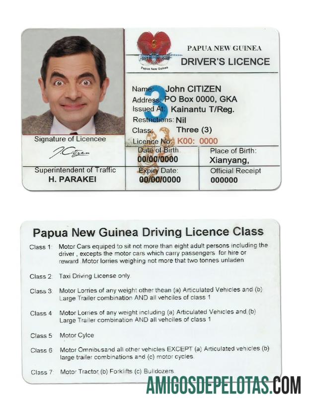 Carteira de motorista de Papua Nova Guiné exemplo real